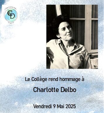 Capture d’écran 2025-05-04 175048.jpg